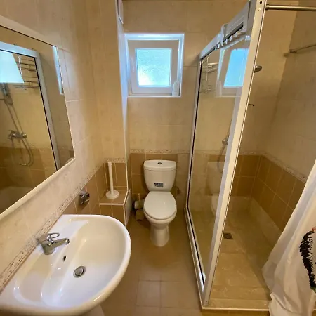 In Complex Daisy Kranevo