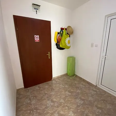 In Complex Daisy Kranevo