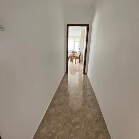 In Complex Daisy * Kranevo