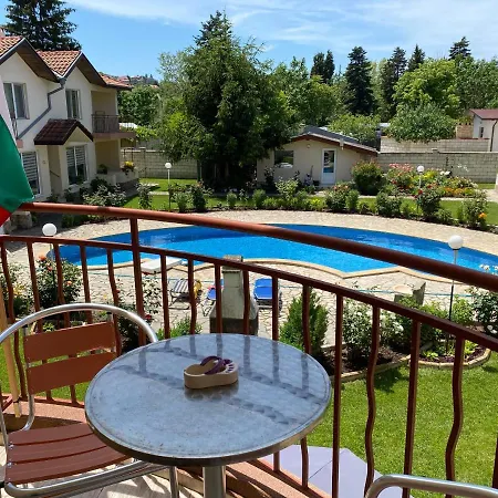 In Complex Daisy * Kranevo