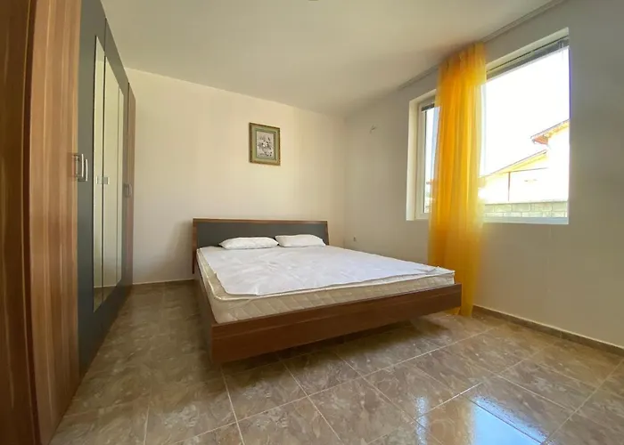 In Complex Daisy Daire