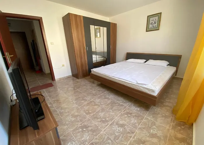 In Complex Daisy Kranevo