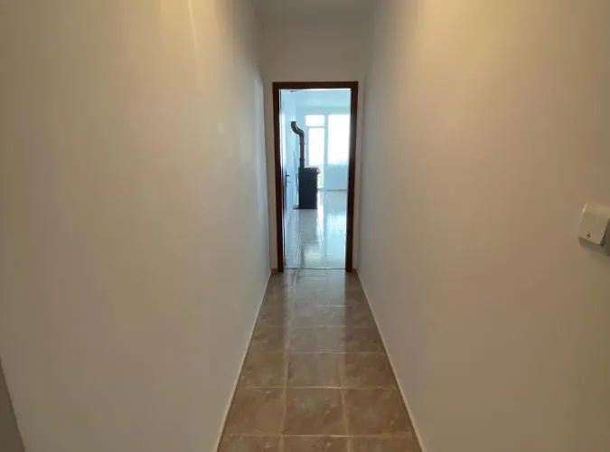 In Complex Daisy Daire Kranevo