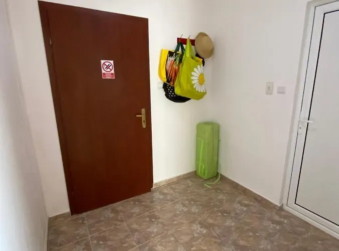 In Complex Daisy Kranevo