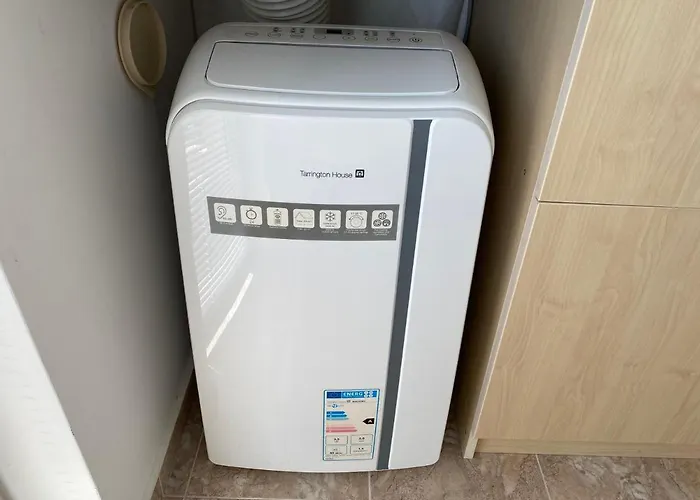 In Complex Daisy Daire *