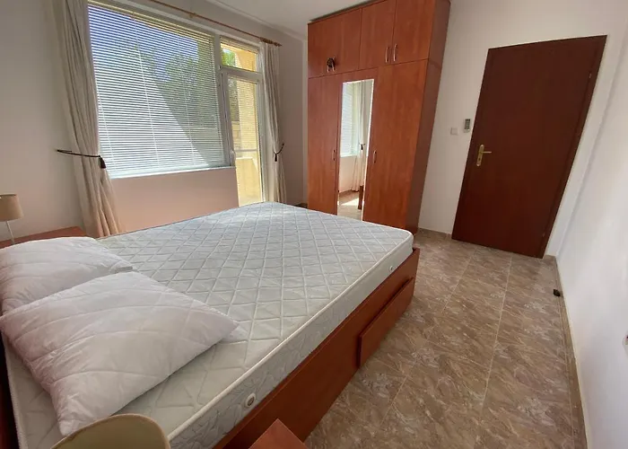 In Complex Daisy * Kranevo