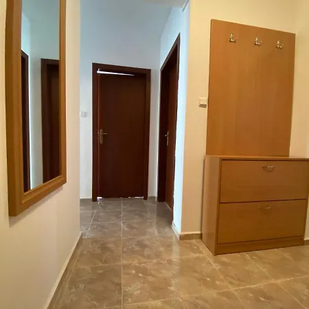 In Complex Daisy * كرانيفو