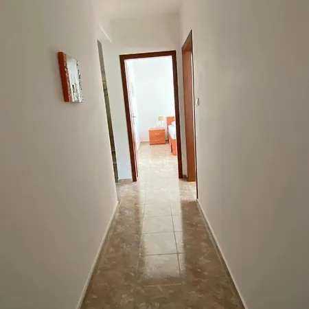 In Complex Daisy * Kranevo