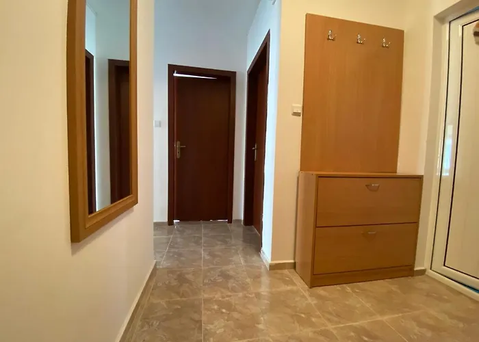 In Complex Daisy * Kranevo