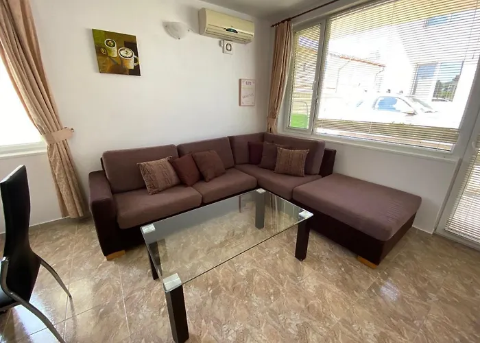 In Complex Daisy Kranewo