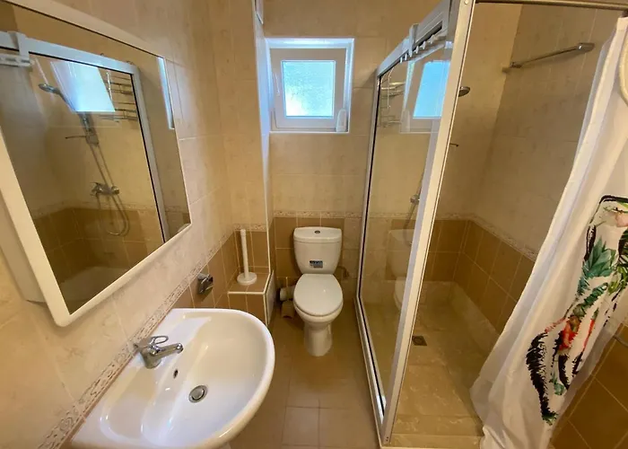 In Complex Daisy Kranevo