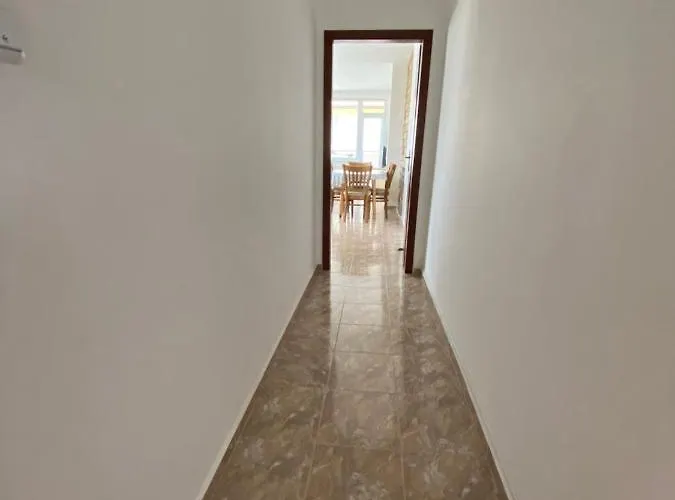 In Complex Daisy * Kranevo