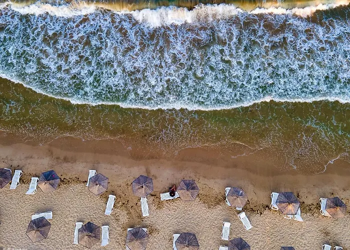 Appartamento In Complex Daisy *